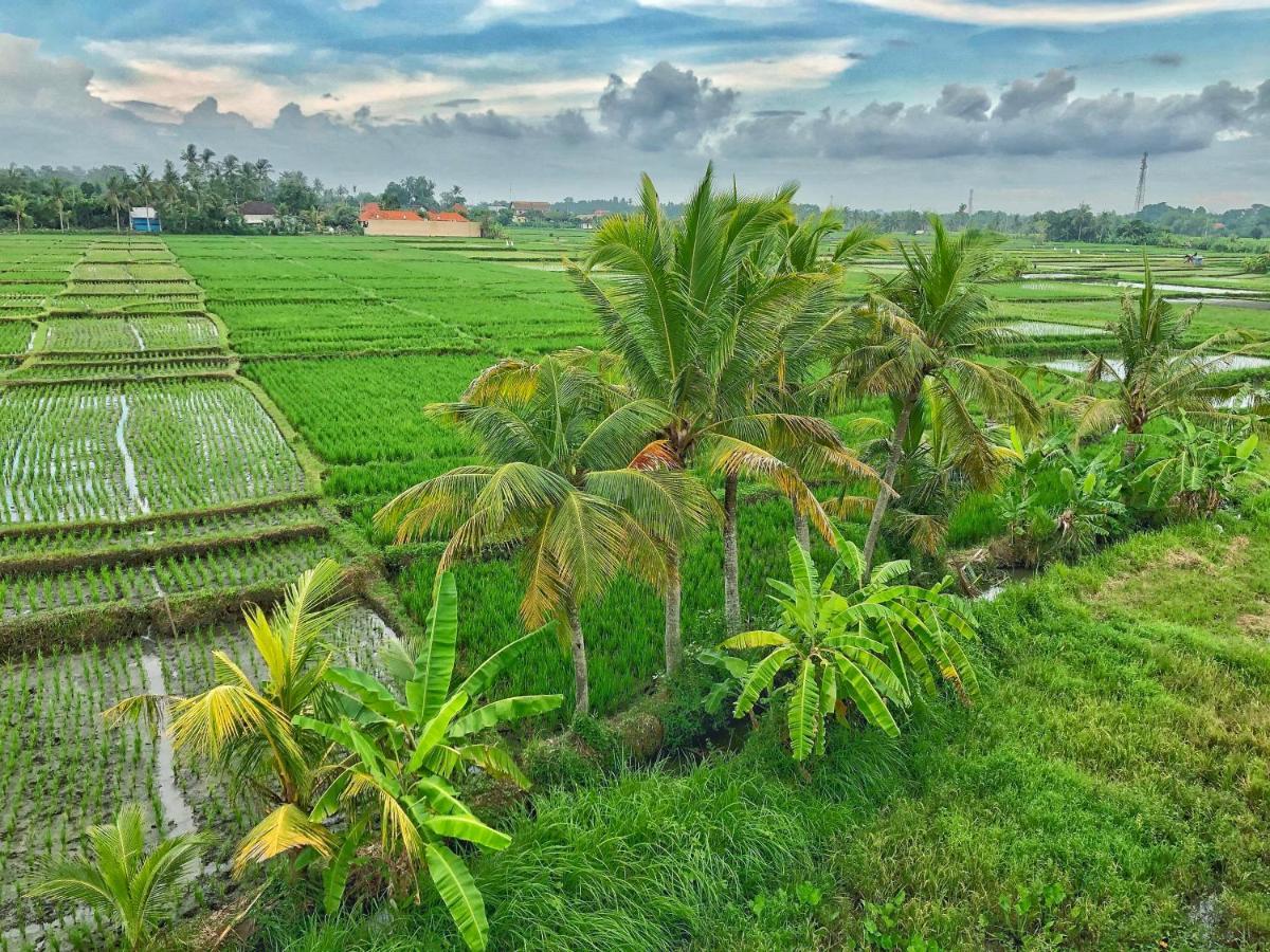 Swell Hotel, Pool Bar & Restaurant Tanah Lot Buitenkant foto